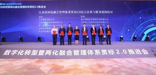 中天互聯(lián)將全面參與江蘇省兩化融合貫標(biāo)2.0推進(jìn),為企業(yè)提供診斷咨詢服務(wù)