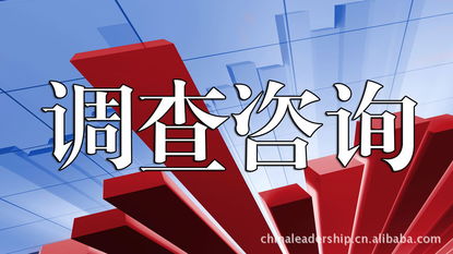 咨詢服務 北京理德斯普企業管理咨詢有限責任公司