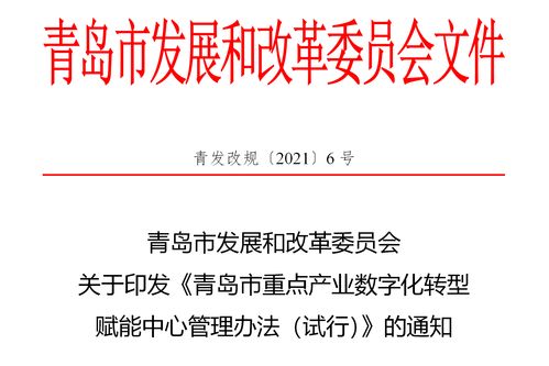 首批申報(bào)即將展開(kāi) 青島出臺(tái)重點(diǎn)產(chǎn)業(yè)數(shù)字化轉(zhuǎn)型賦能中心管理辦法